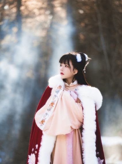 对魔忍雪风动漫在线观看_超清超清在线观看